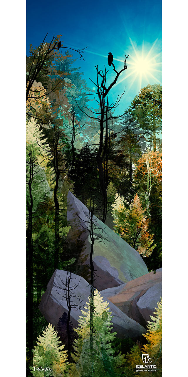 18/19 Nomad105 Fine Art Print