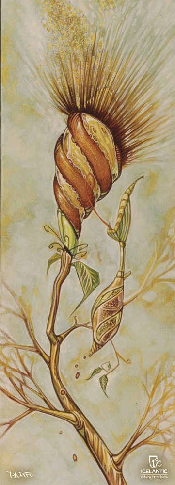 07/08 Pilgrim Fine Art Print