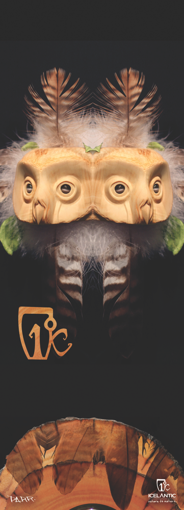 13/14 Shaman Fine Art Print