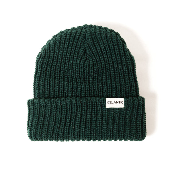 Chunky Knit Beanie - Forest