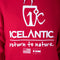 Icelantic Logo Hoodie/Red
